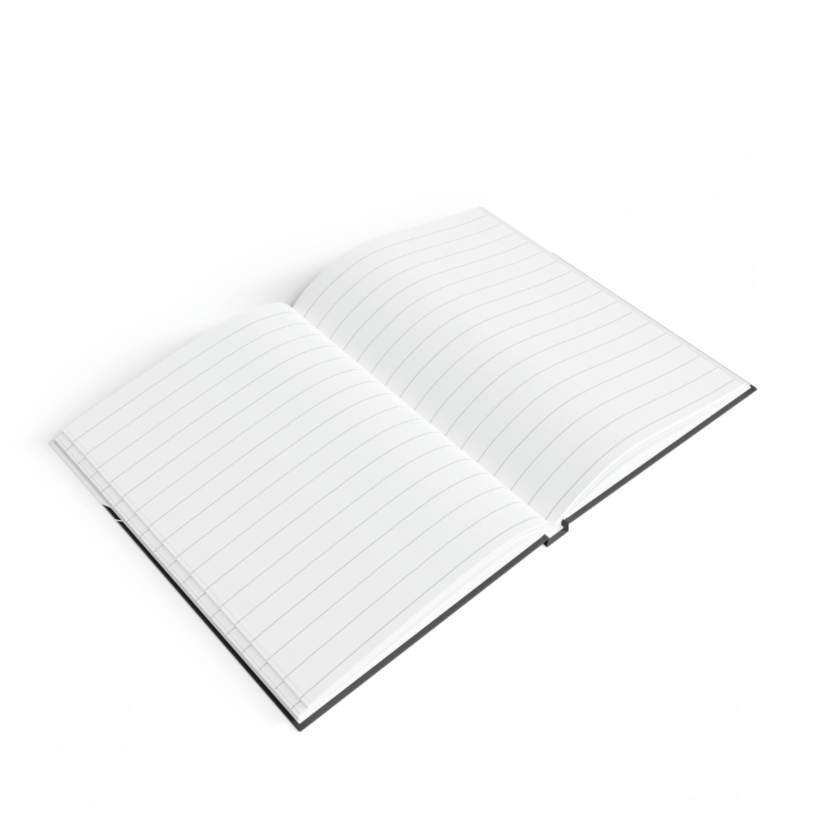 Journal