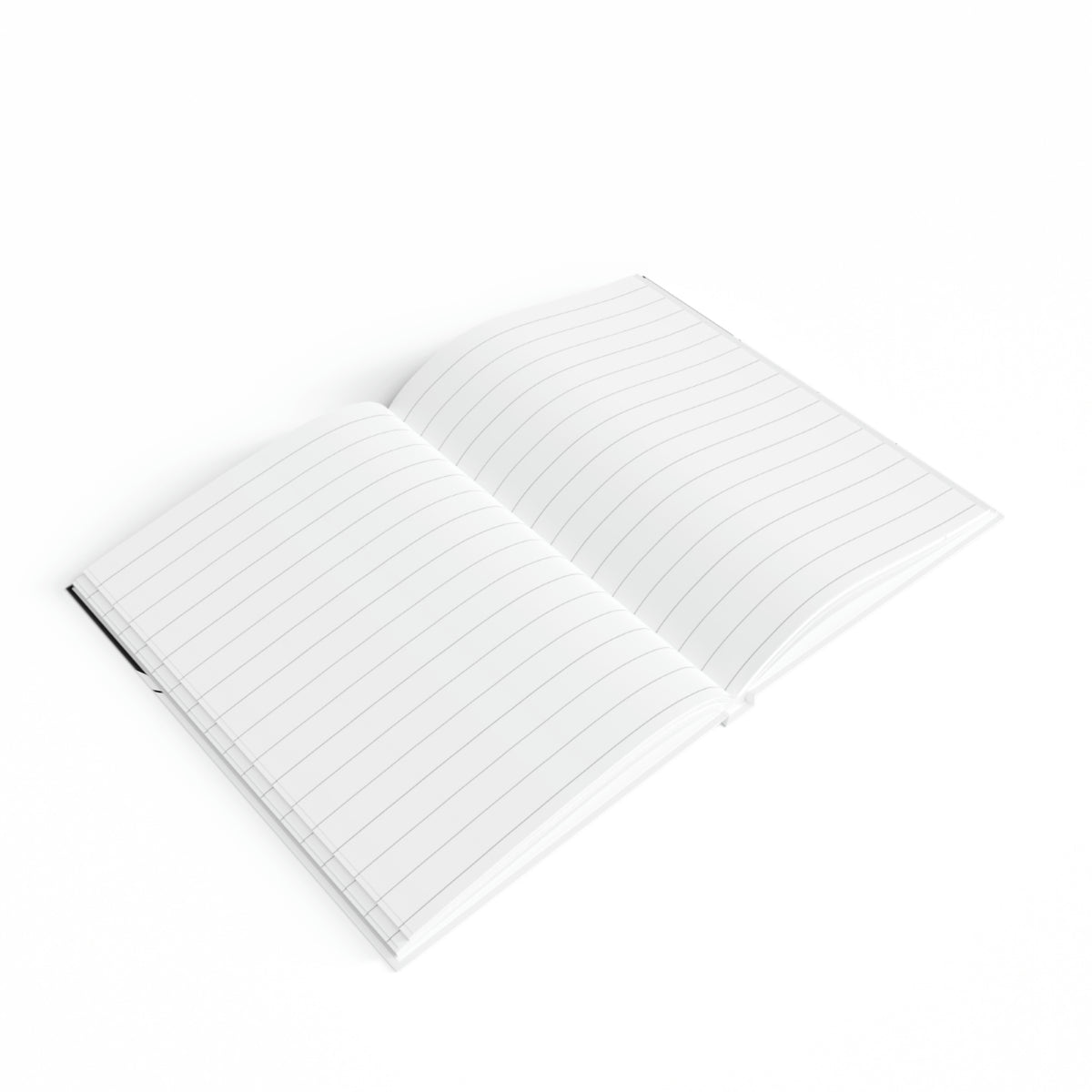 Journal